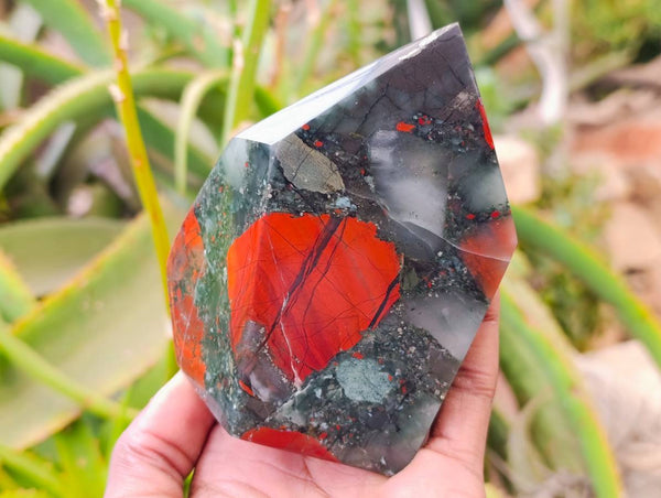 Polished Bloodstone Points x 3 From Swaziland
