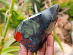 Polished Bloodstone Points x 3 From Swaziland - Toprock Gemstones and Minerals 