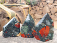 Polished Bloodstone Points x 3 From Swaziland