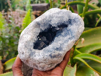 Natural Celestite Geode Specimen x 1 From Sakoany, Madagascar - Toprock Gemstones and Minerals 