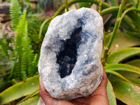 Natural Celestite Geode Specimen x 1 From Sakoany, Madagascar - Toprock Gemstones and Minerals 