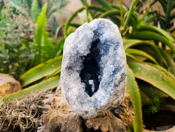 Natural Celestite Geode Specimen x 1 From Sakoany, Madagascar - Toprock Gemstones and Minerals 