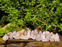 Natural Amethyst Spirit Quartz Clusters x 35 From Boekenhouthoek, South Africa - Toprock Gemstones and Minerals 