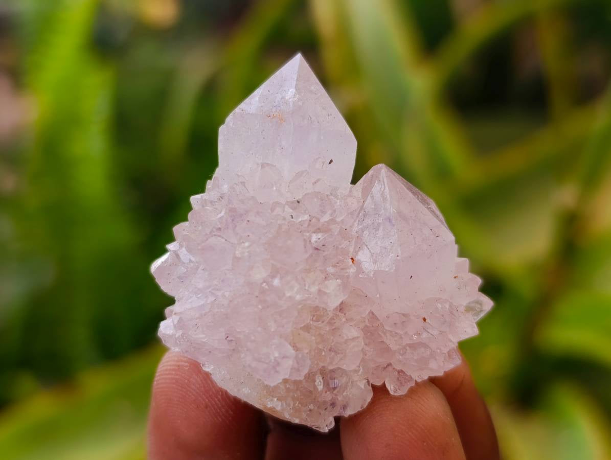 Natural Amethyst Spirit Quartz Clusters x 35 From Boekenhouthoek, South Africa - Toprock Gemstones and Minerals 