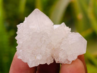 Natural Amethyst Spirit Quartz Clusters x 35 From Boekenhouthoek, South Africa - Toprock Gemstones and Minerals 