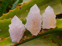 Natural Amethyst Spirit Quartz Clusters x 35 From Boekenhouthoek, South Africa - Toprock Gemstones and Minerals 
