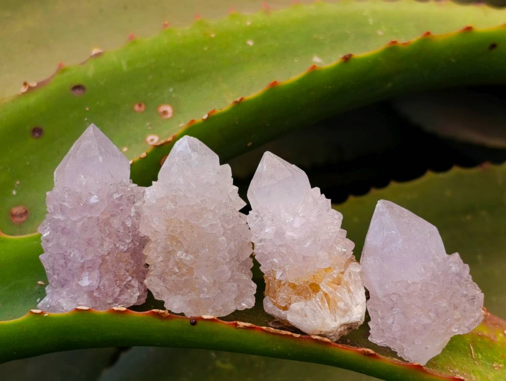 Natural Amethyst Spirit Quartz Clusters x 35 From Boekenhouthoek, South Africa - Toprock Gemstones and Minerals 