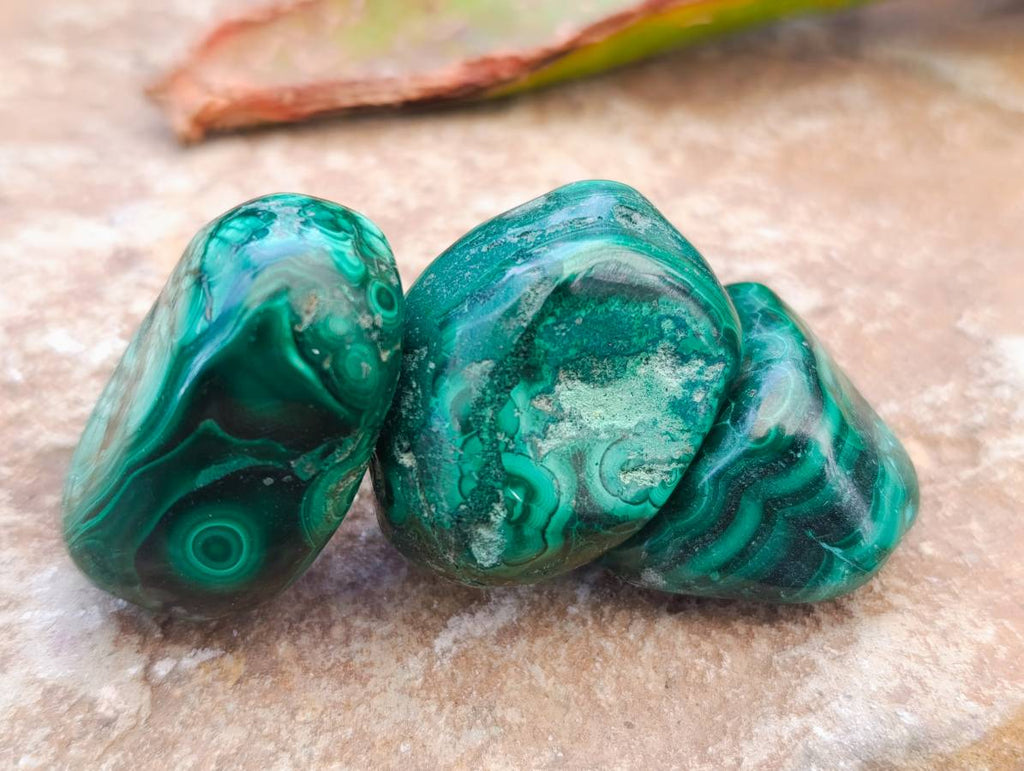 Polished Flower Banded Malachite Free Forms x 35 From Congo - Toprock Gemstones and Minerals 