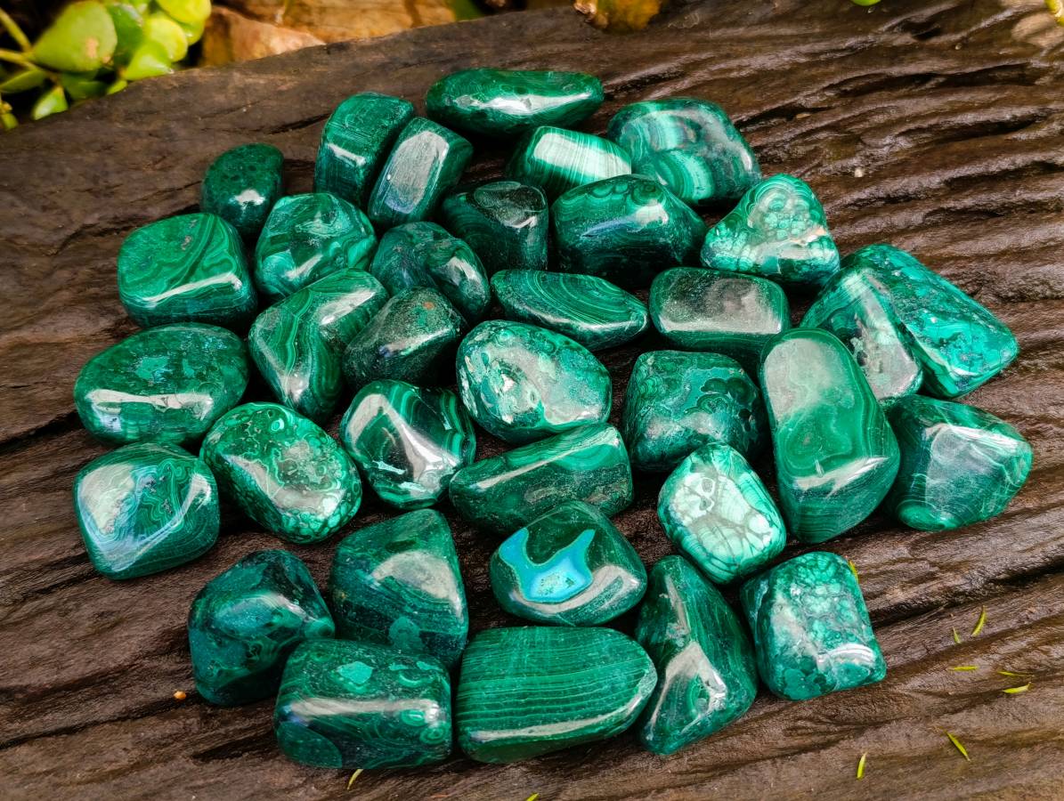 Polished Flower Banded Malachite Free Forms x 35 From Congo - Toprock Gemstones and Minerals 