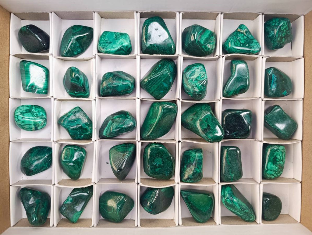 Polished Flower Banded Malachite Free Forms x 35 From Congo - Toprock Gemstones and Minerals 