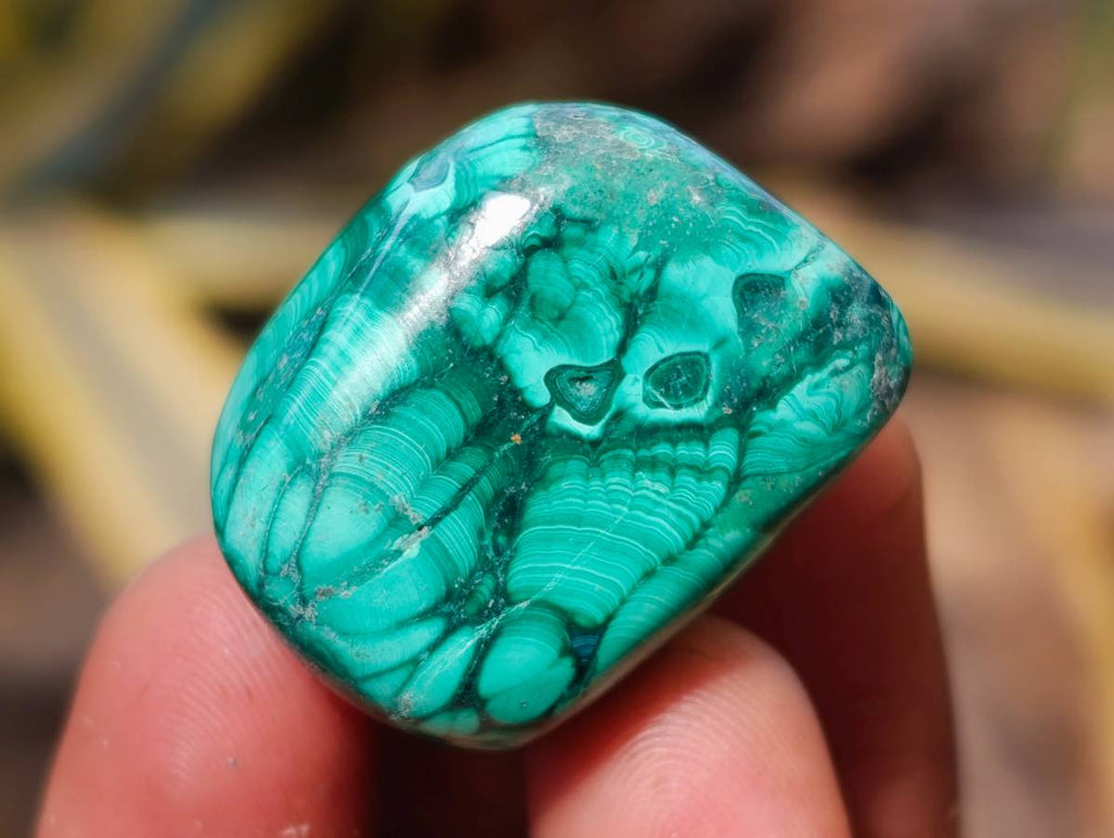 Polished Flower Banded Malachite Free Forms x 35 From Congo - Toprock Gemstones and Minerals 