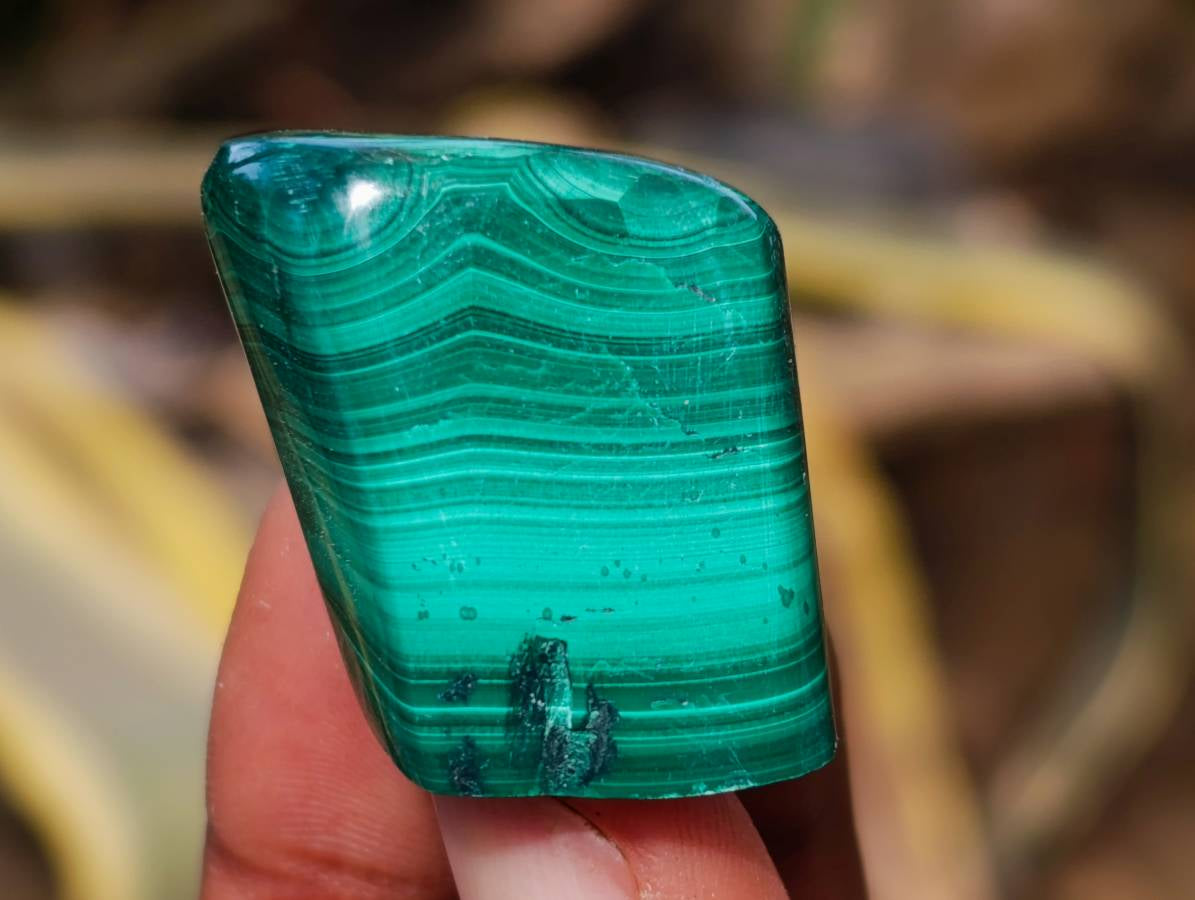 Polished Flower Banded Malachite Free Forms x 35 From Congo - Toprock Gemstones and Minerals 