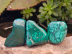 Polished Flower Banded Malachite Free Forms x 35 From Congo - Toprock Gemstones and Minerals 