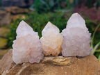 Natural White cactus Flower Spirit Quartz Crystals x 12 From Boekenhouthoek, South Africa - Toprock Gemstones and Minerals 