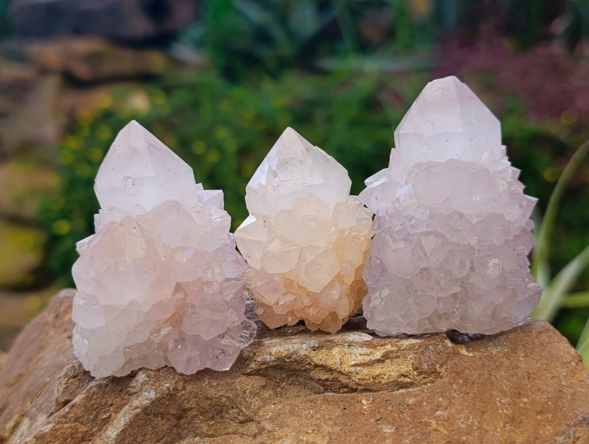 Natural White cactus Flower Spirit Quartz Crystals x 12 From Boekenhouthoek, South Africa - Toprock Gemstones and Minerals 