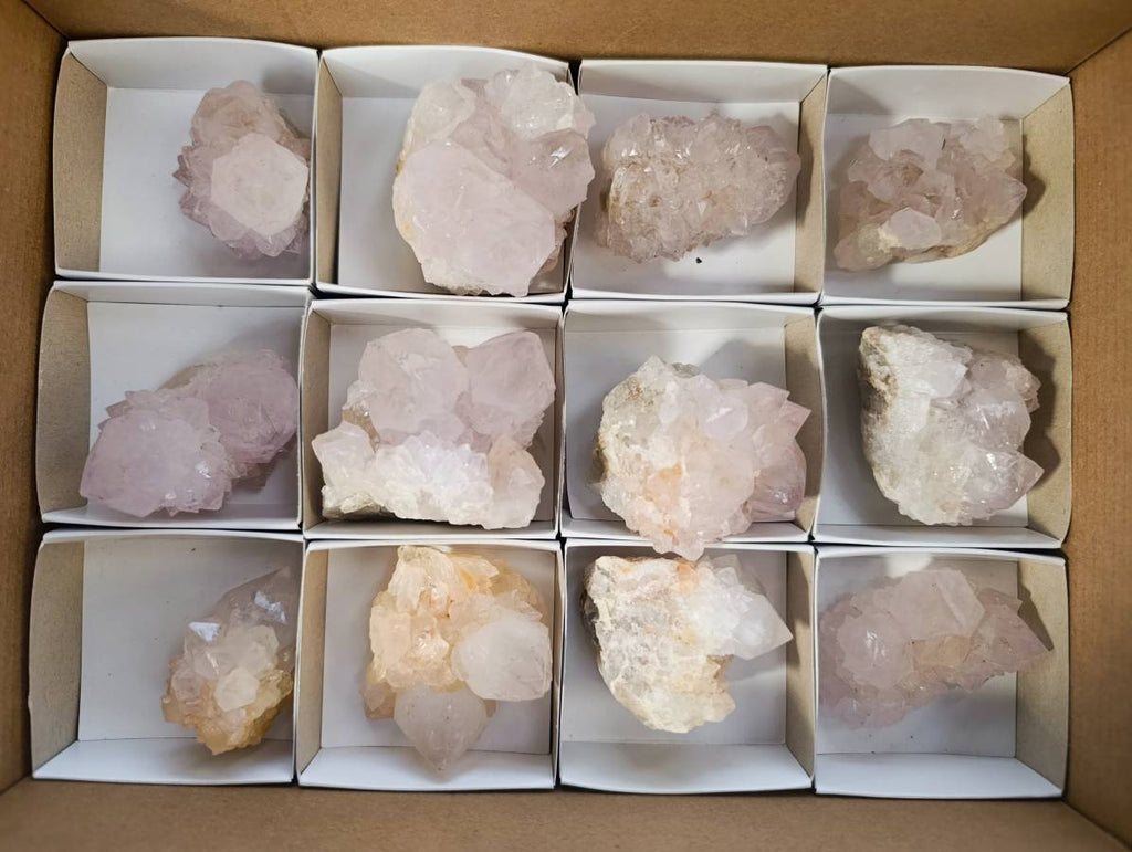 Natural White cactus Flower Spirit Quartz Crystals x 12 From Boekenhouthoek, South Africa - Toprock Gemstones and Minerals 
