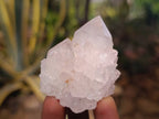 Natural White cactus Flower Spirit Quartz Crystals x 12 From Boekenhouthoek, South Africa - Toprock Gemstones and Minerals 