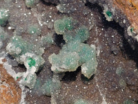 Natural Ball Malachite and Drusy Quartz On Dolomite Matrix Specimens x 1 From Kambove, Congo