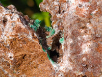 Natural Ball Malachite and Drusy Quartz On Dolomite Matrix Specimens x 1 From Kambove, Congo