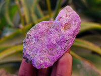 Natural Stichtite Cobbed Specimens x 1.98kg Lot  From Barberton, South Africa - Toprock Gemstones and Minerals 
