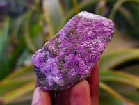 Natural Stichtite Cobbed Specimens x 1.98kg Lot  From Barberton, South Africa - Toprock Gemstones and Minerals 