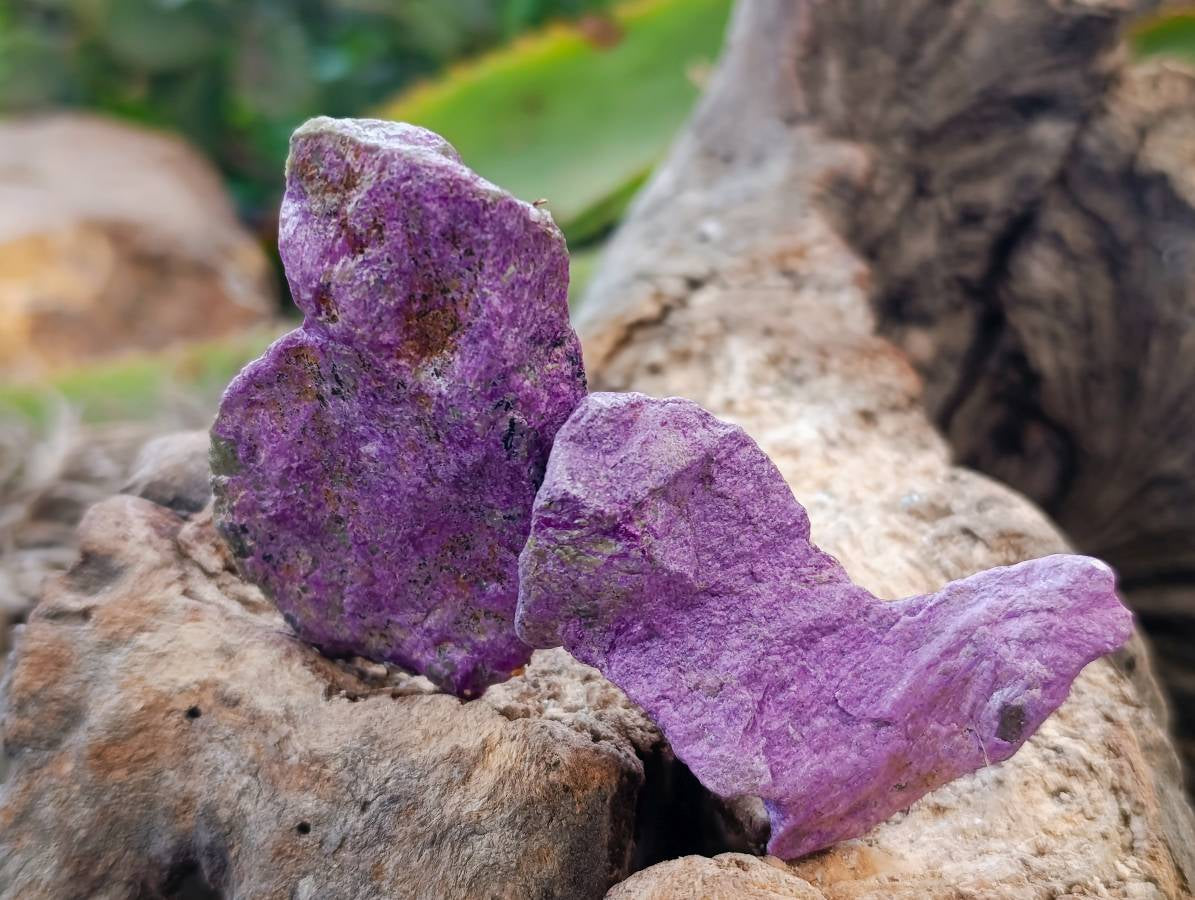 Natural Stichtite Cobbed Specimens x 1.98kg Lot  From Barberton, South Africa - Toprock Gemstones and Minerals 