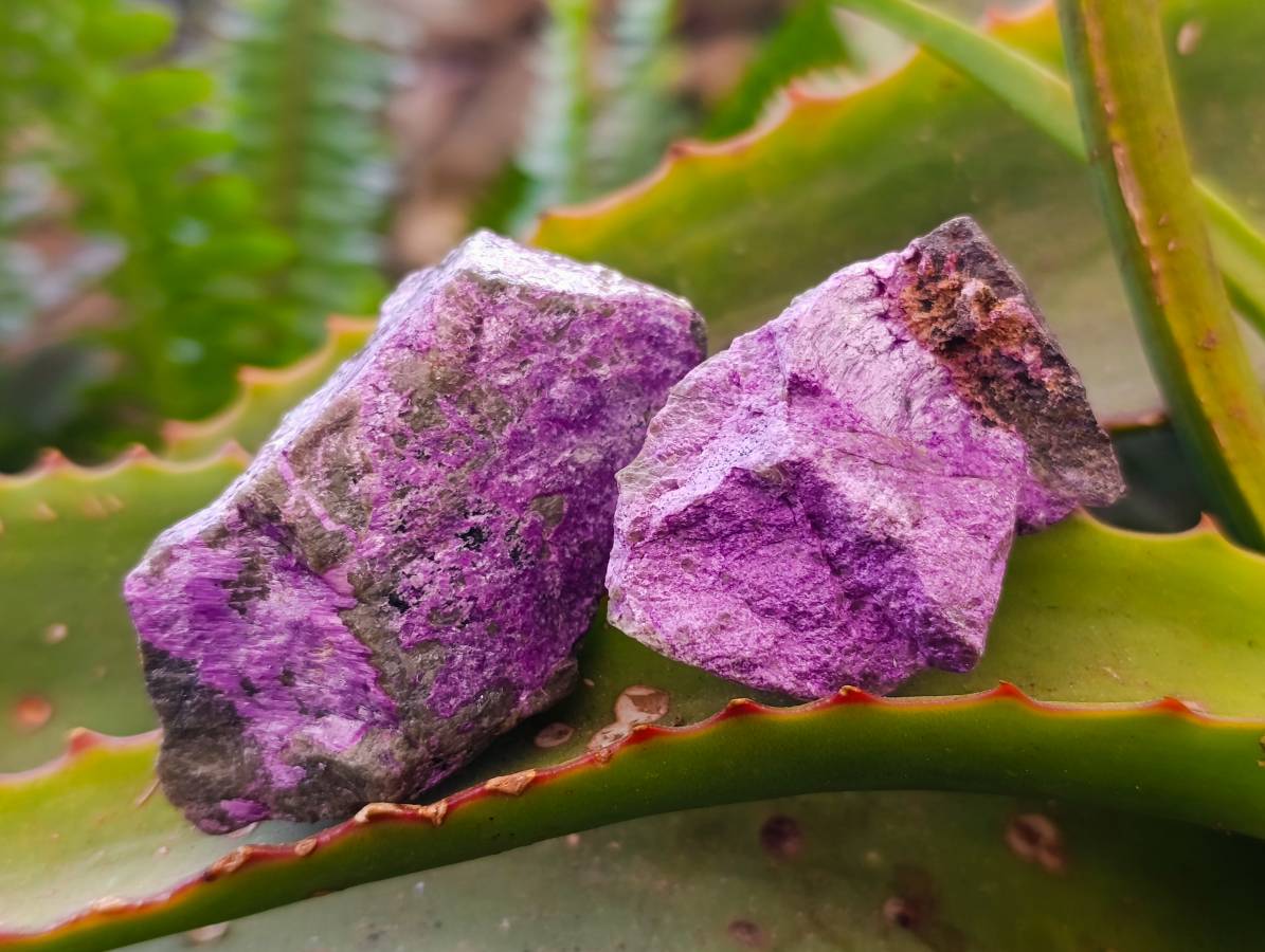 Natural Stichtite Cobbed Specimens x 1.98kg Lot  From Barberton, South Africa - Toprock Gemstones and Minerals 