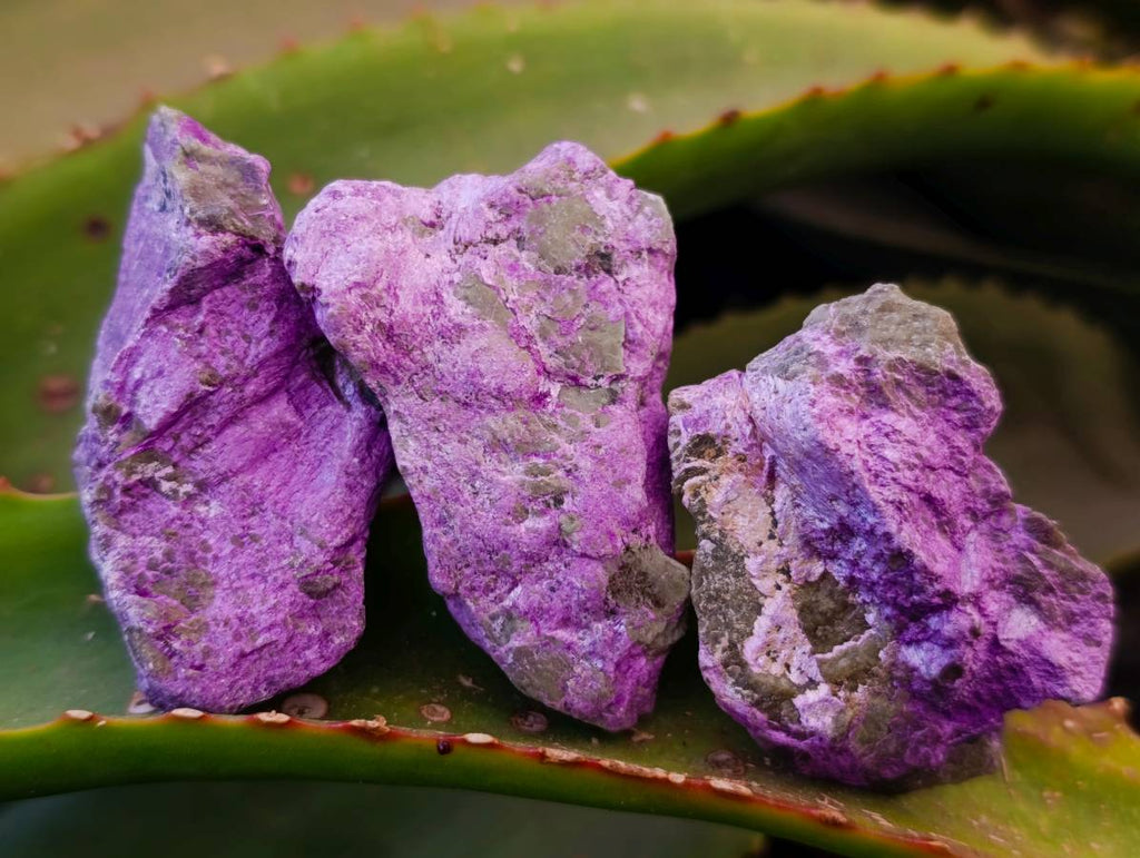 Natural Stichtite Cobbed Specimens x 1.98kg Lot  From Barberton, South Africa - Toprock Gemstones and Minerals 