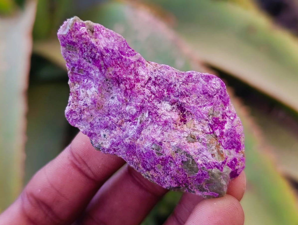 Natural Stichtite Cobbed Specimens x 1.98kg Lot  From Barberton, South Africa - Toprock Gemstones and Minerals 