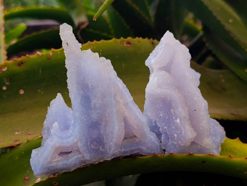 Natural Etched Blue Chalcedony Geodes x 6 From Nsanje, Malawi - Toprock Gemstones and Minerals 