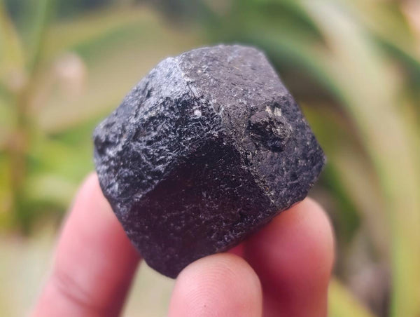 Natural Schorl Black Tourmaline Specimens x 70 from Zimbabwe - Toprock Gemstones and Minerals 
