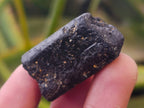 Natural Schorl Black Tourmaline Specimens x 70 from Zimbabwe - Toprock Gemstones and Minerals 