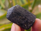 Natural Schorl Black Tourmaline Specimens x 70 from Zimbabwe - Toprock Gemstones and Minerals 