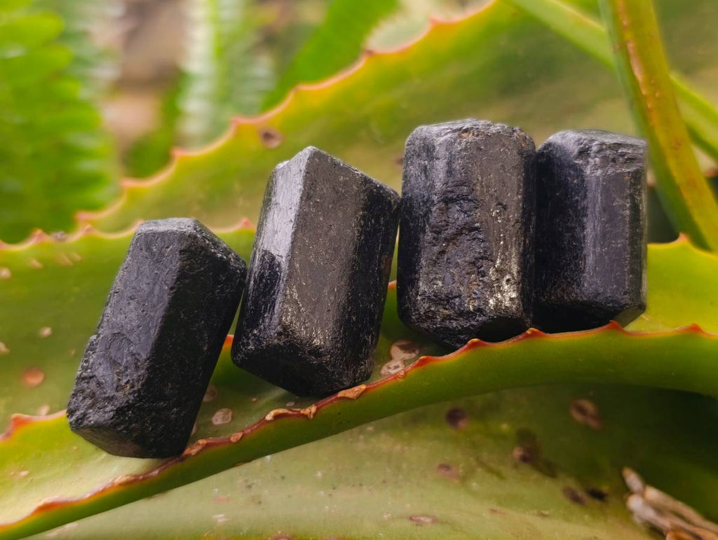 Natural Schorl Black Tourmaline Specimens x 70 from Zimbabwe - Toprock Gemstones and Minerals 
