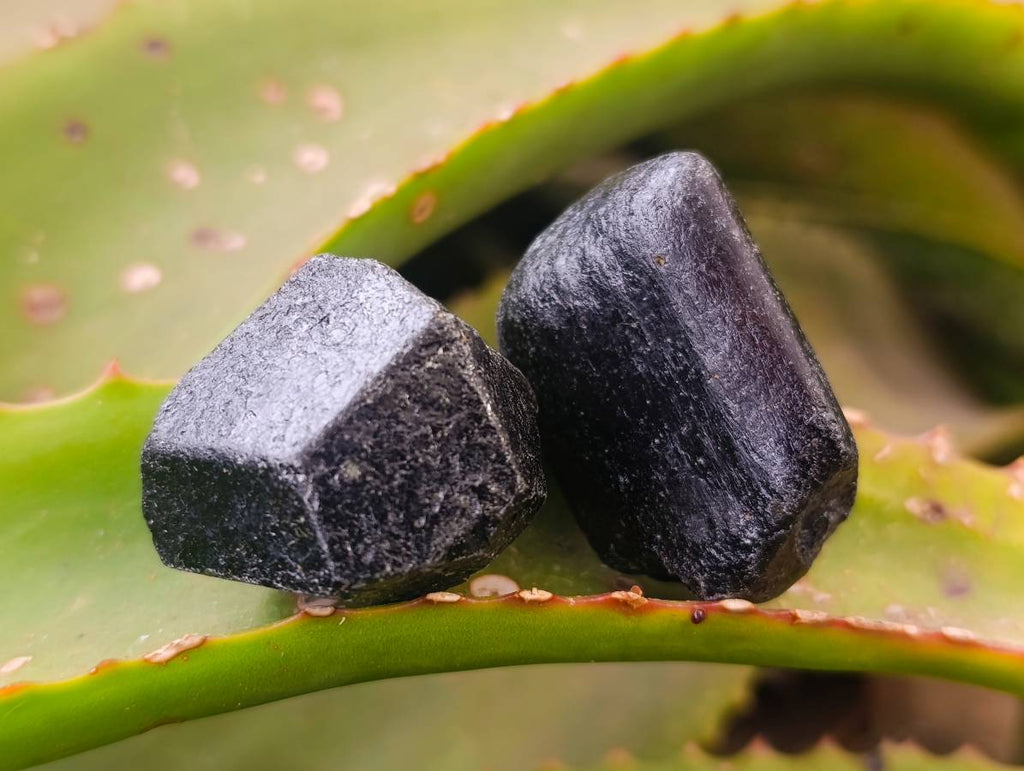 Natural Schorl Black Tourmaline Specimens x 70 from Zimbabwe - Toprock Gemstones and Minerals 