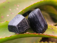 Natural Schorl Black Tourmaline Specimens x 70 from Zimbabwe - Toprock Gemstones and Minerals 