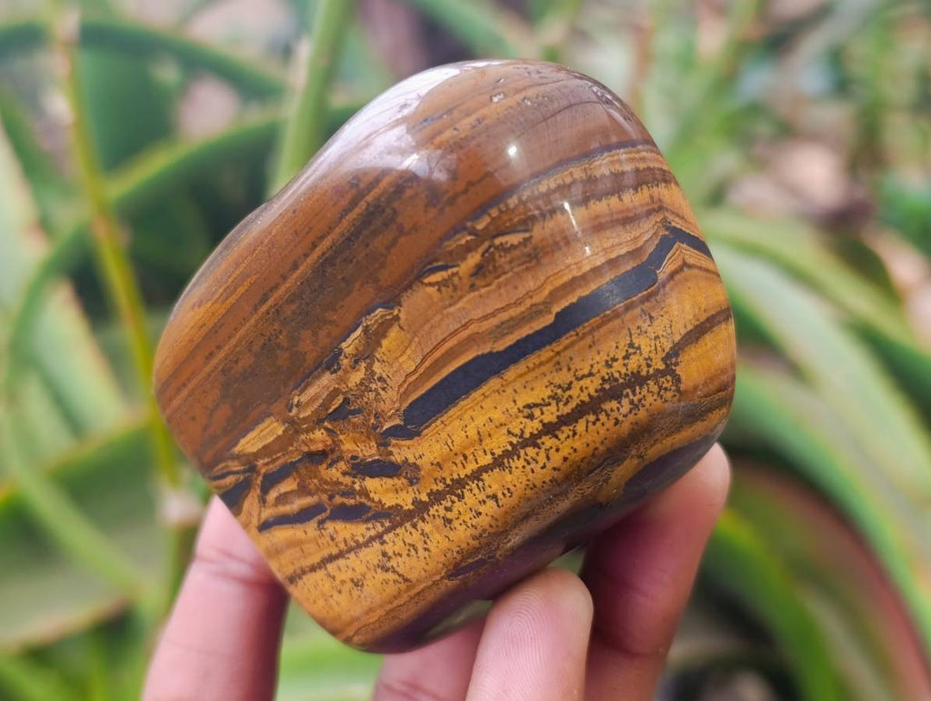 Polished Golden Tiger's Eye Free Forms x 6 From Prieska, South Africa - Toprock Gemstones and Minerals 