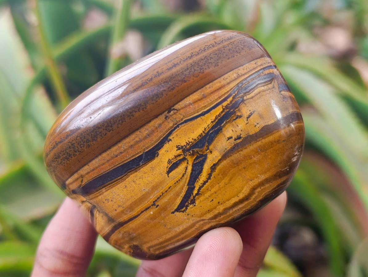 Polished Golden Tiger's Eye Free Forms x 6 From Prieska, South Africa - Toprock Gemstones and Minerals 