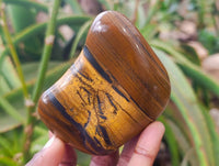 Polished Golden Tiger's Eye Free Forms x 6 From Prieska, South Africa - Toprock Gemstones and Minerals 