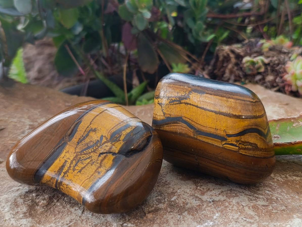 Polished Golden Tiger's Eye Free Forms x 6 From Prieska, South Africa - Toprock Gemstones and Minerals 