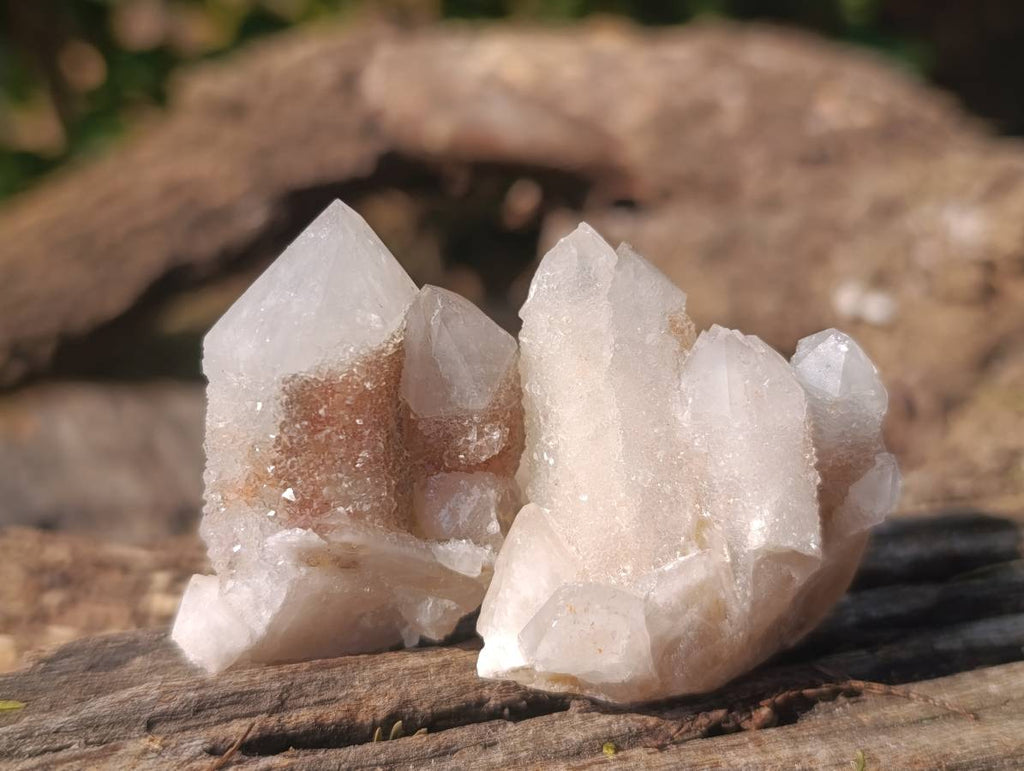 Natural Amethyst Spirit Quartz Clusters x 35 From Boekenhouthoek, South Africa - Toprock Gemstones and Minerals 