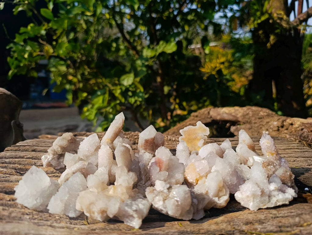 Natural Amethyst Spirit Quartz Clusters x 35 From Boekenhouthoek, South Africa - Toprock Gemstones and Minerals 