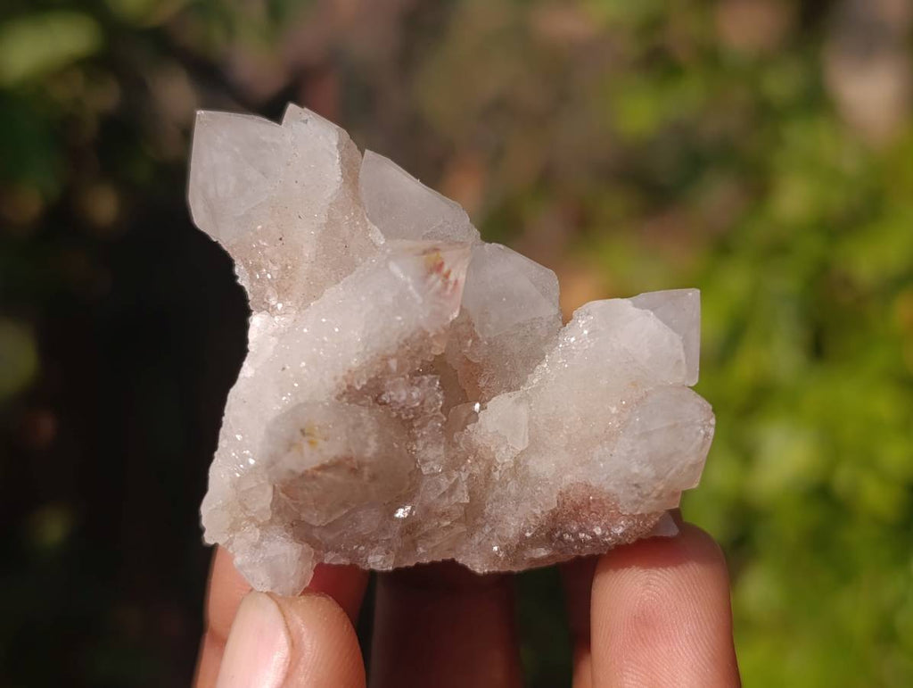 Natural Amethyst Spirit Quartz Clusters x 35 From Boekenhouthoek, South Africa - Toprock Gemstones and Minerals 