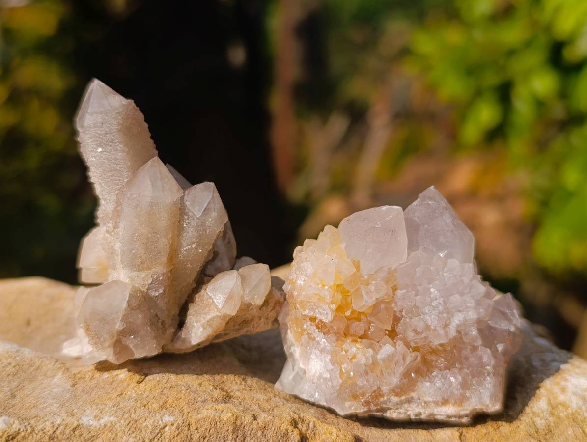 Natural Amethyst Spirit Quartz Clusters x 35 From Boekenhouthoek, South Africa - Toprock Gemstones and Minerals 