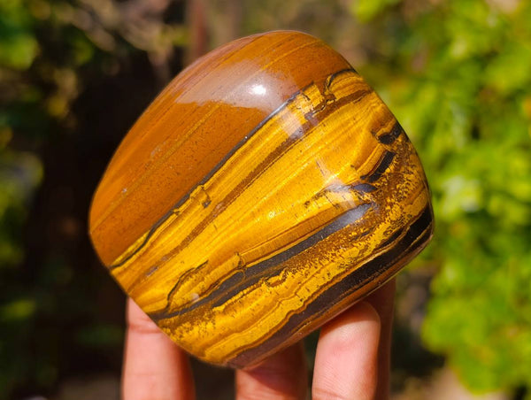 Polished Golden Tiger's Eye  Selected A Jumbo Tumbled Palm Stones x 6 From Prieska, South Africa - Toprock Gemstones and Minerals 