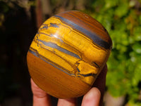 Polished Golden Tiger's Eye  Selected A Jumbo Tumbled Palm Stones x 6 From Prieska, South Africa - Toprock Gemstones and Minerals 