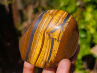 Polished Golden Tiger's Eye  Selected A Jumbo Tumbled Palm Stones x 6 From Prieska, South Africa - Toprock Gemstones and Minerals 