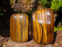 Polished Golden Tiger's Eye  Selected A Jumbo Tumbled Palm Stones x 6 From Prieska, South Africa - Toprock Gemstones and Minerals 