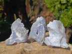 Natural Etched Blue Chalcedony Geodes x 12 From Nsanje, Malawi - Toprock Gemstones and Minerals 
