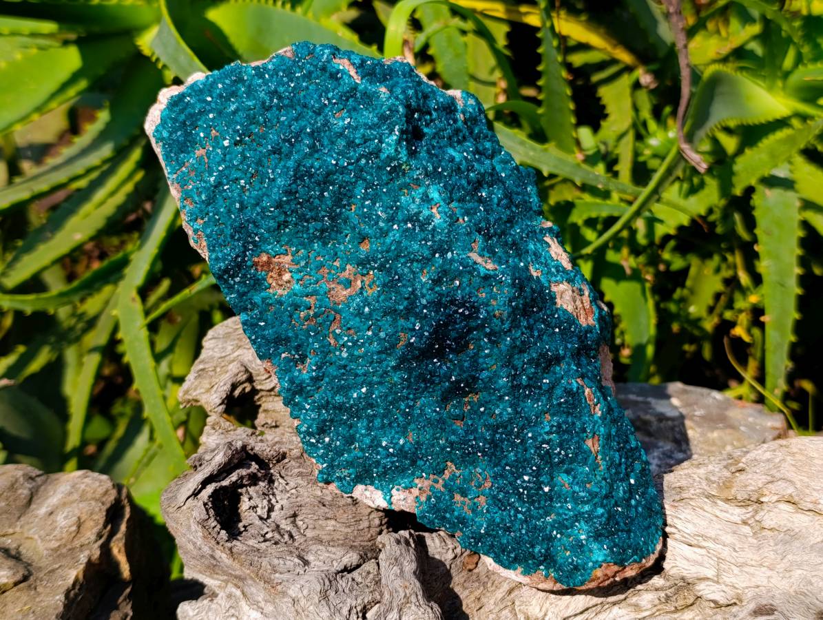 Natural Dioptase On Dolomite Specimens x 1 From Likasi, Congo - Toprock Gemstones and Minerals 